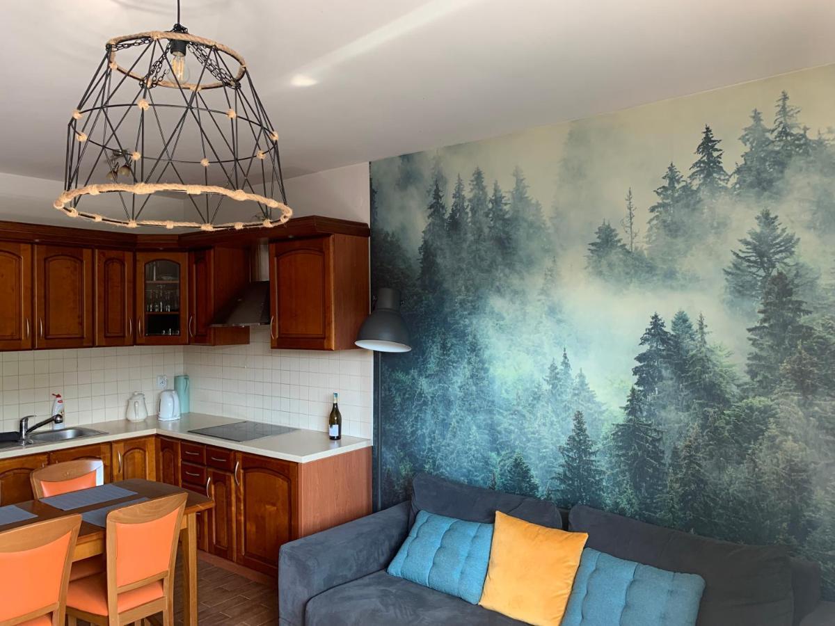 Apartament Na Wzgorzu Visla Exteriér fotografie